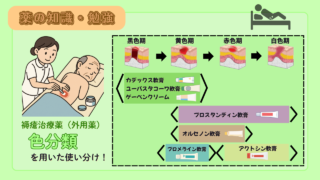 【薬剤師必見!】褥瘡治療薬の色分類と使い分け!現場で迷わない外用薬選択のポイント